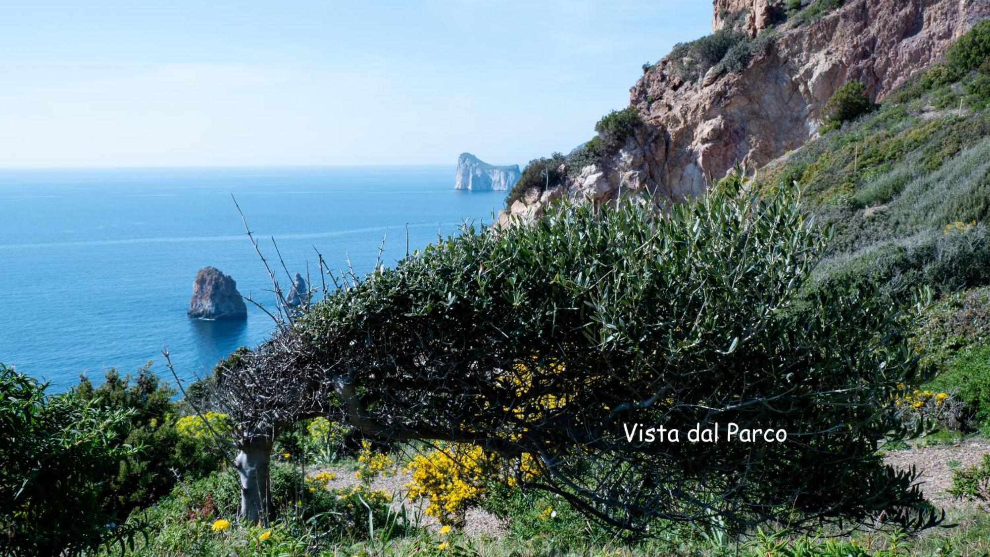 Villa Il Tramonto Tanca Piras Nebida Esterno foto
